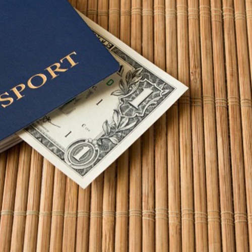 Visa Consultancy Firm